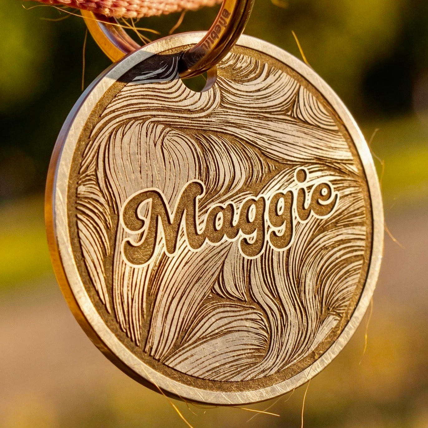 Engraved Titanium Pet Collar Tag
